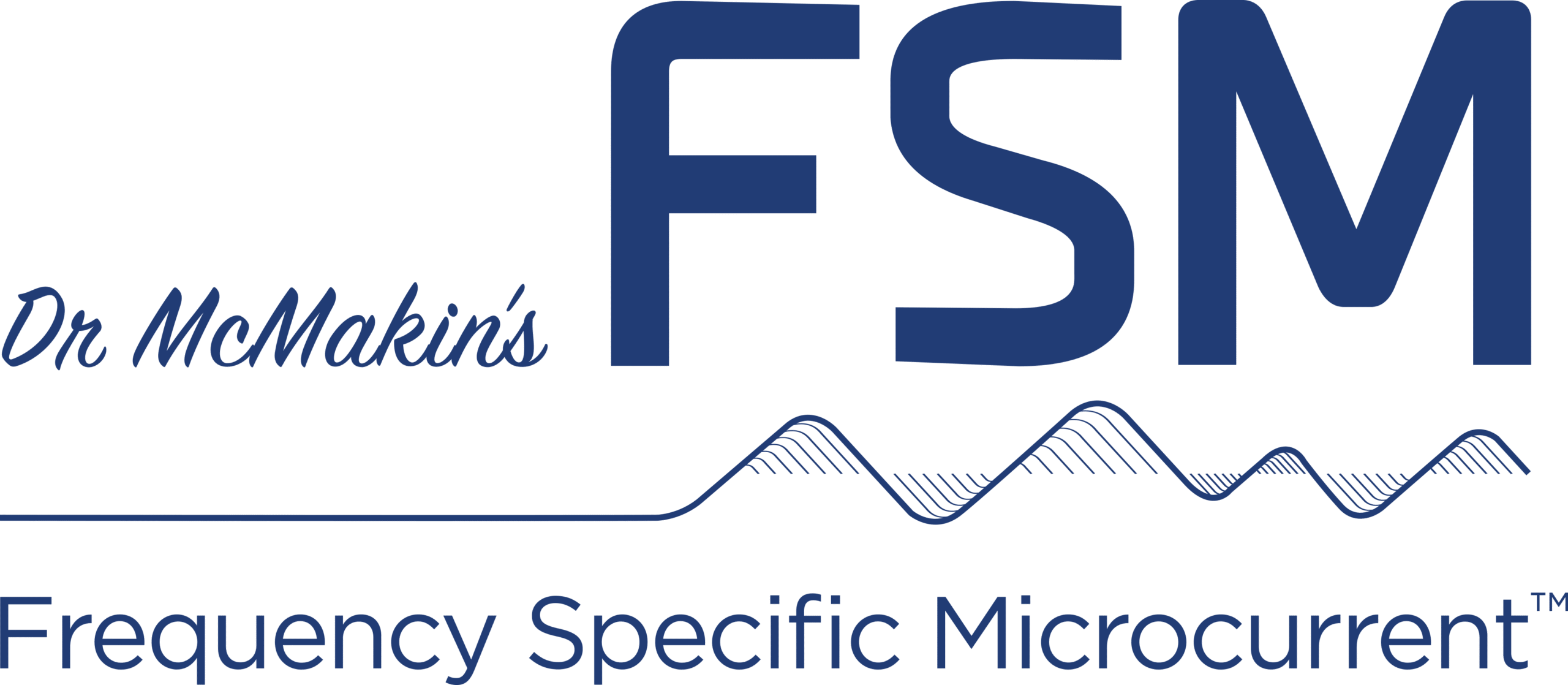FSM logo PNG